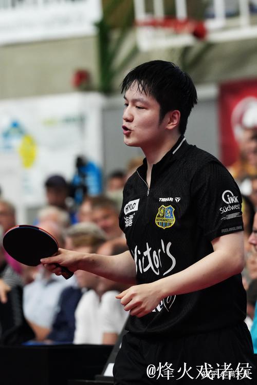 一人撼动两大规则！樊振东让德甲灵活变通 多特为他放下德比执念